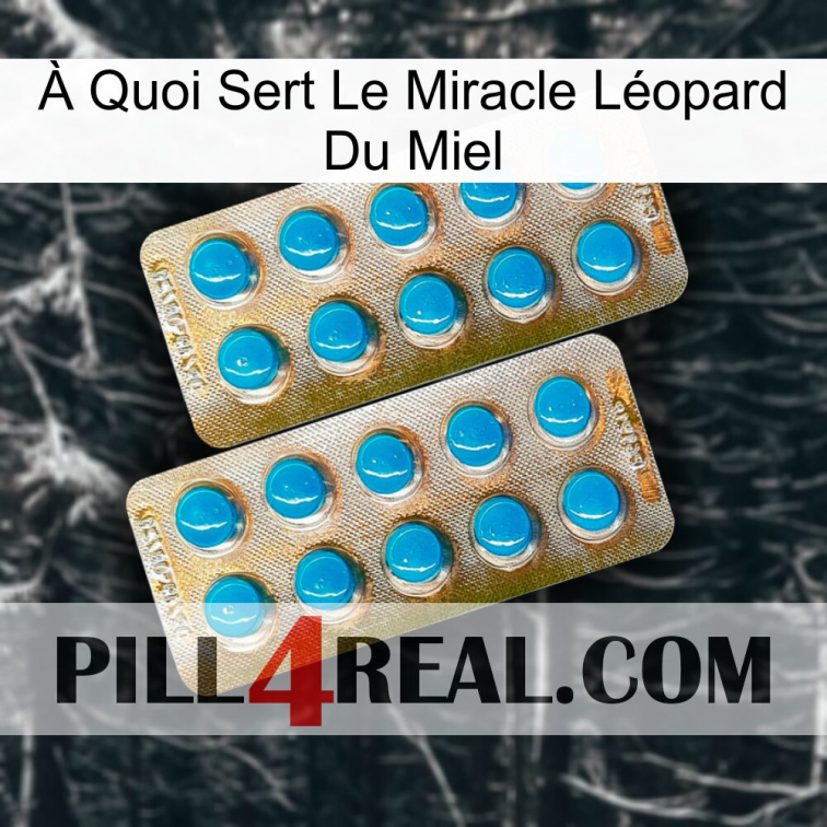 À Quoi Sert Le Miracle Léopard Du Miel new08